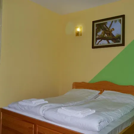 Nelina Guest house *