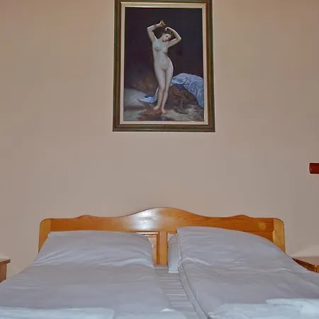 Nelina Guest house *